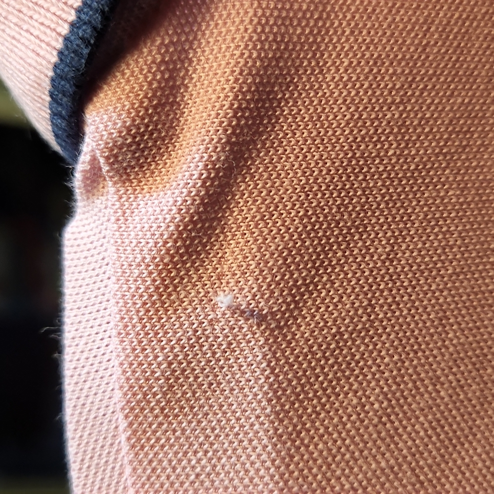 Polo XL ( TG ) - Picture 4 of 5